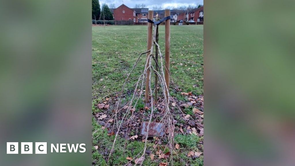 Council condemns vandalism of memorial to Queen Elizabeth II
