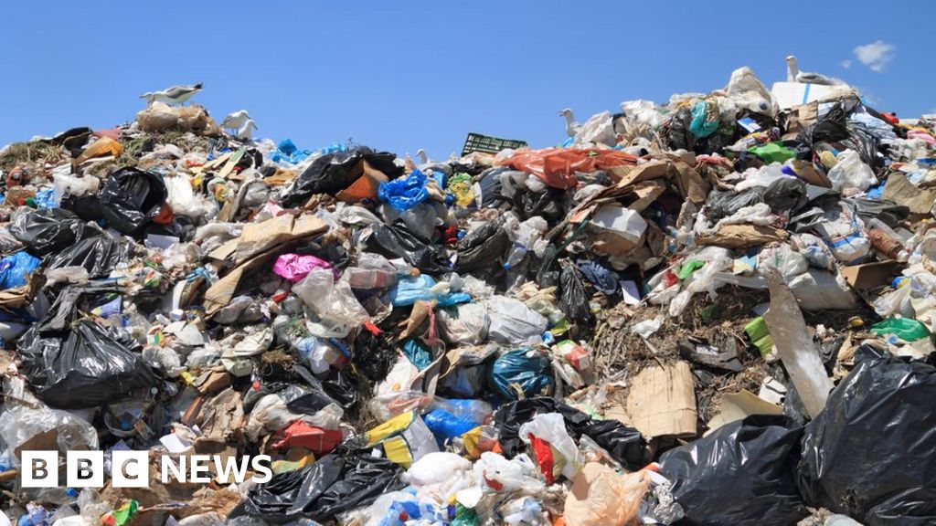 Plastic recycling How do bottle deposit schemes work? BBC News