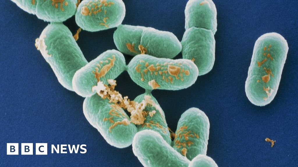 Listeria Outbreak: Deli Meat Linked To Deadly Infections In US - BBC News