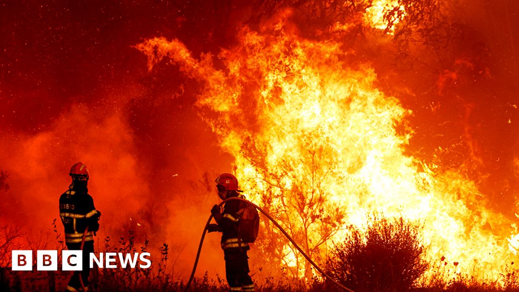 Portugal battles wildfires amid third heatwave of the year