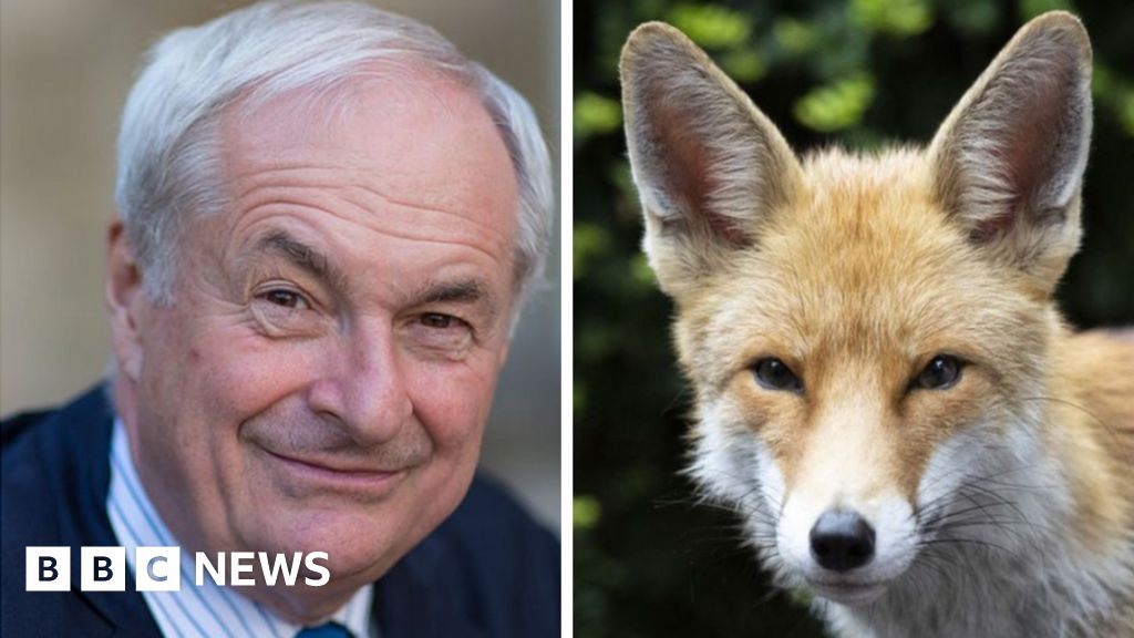 Paul Gambaccini breaks up noisy mating urban foxes