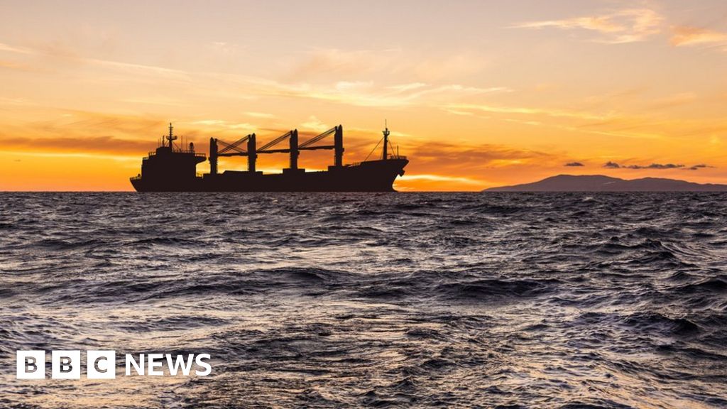 Ukraine grain deal: Where are the ships going?