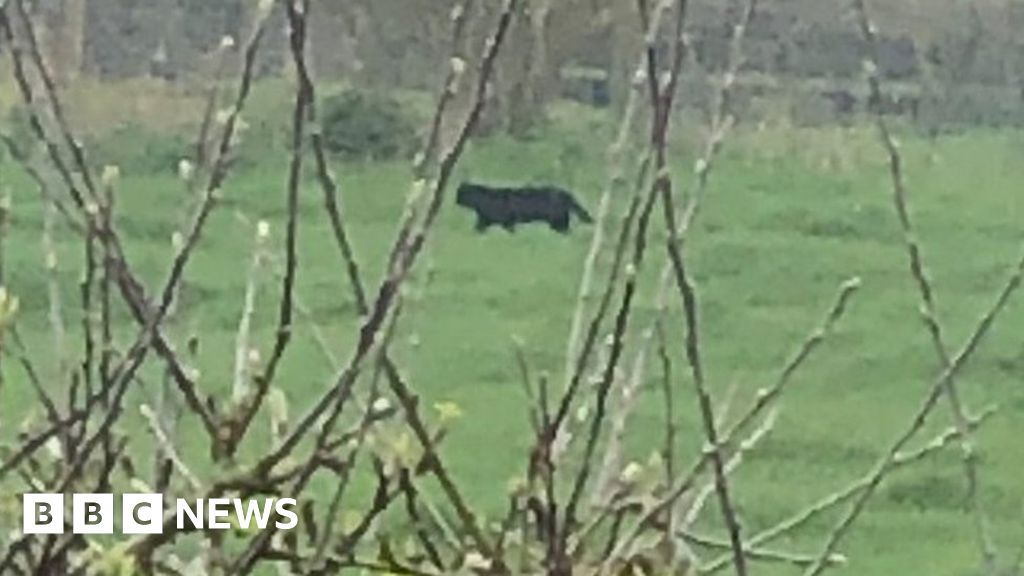 'Beast of Broadwell' filmed in Cotswold village