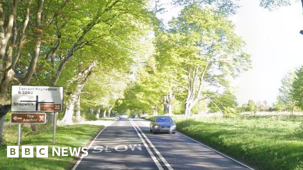 Car driver dies near Badbury Rings in single-vehicle crash