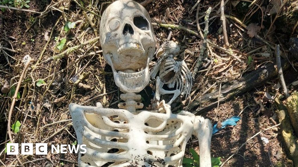 Human bones find turns out to be toy pirate skeleton with parrot