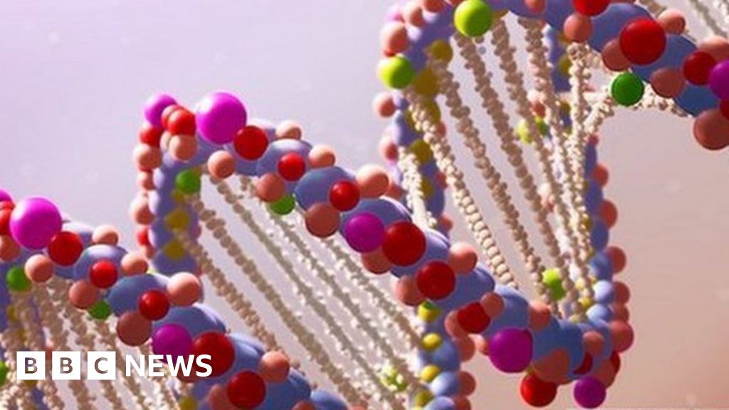 World's longest DNA sequence decoded BBC News