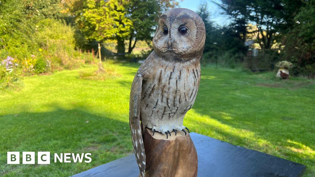 New Forest woman's wooden owl carving wins national competition