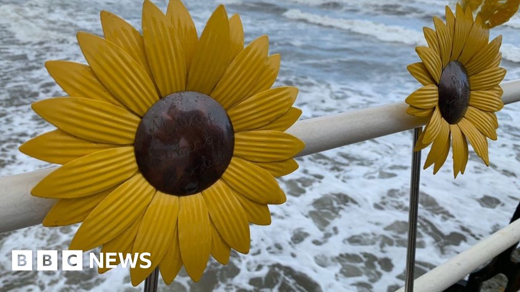 Teesside Hospice sunflower display ended after vandal attacks