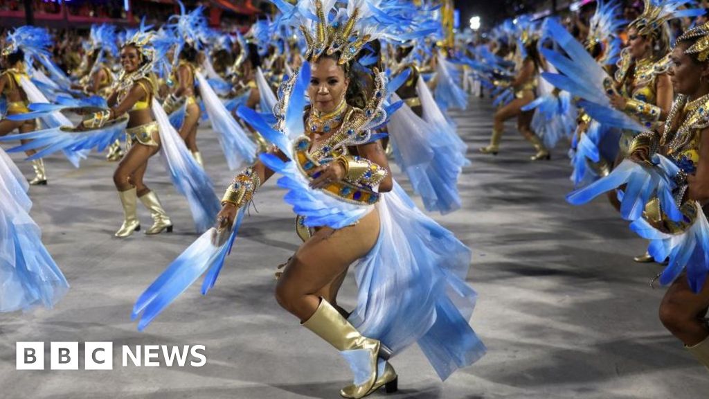Brazil on dengue fever alert ahead of carnival - France 24