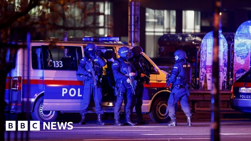 Vienna shooting: Gunman hunted after deadly 'terror' attack