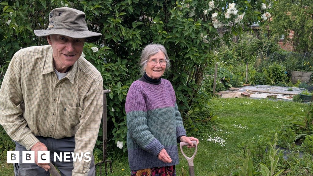 bbc.co.uk - Oliver Castle - Health fears over proposed chicken farm in Wragby