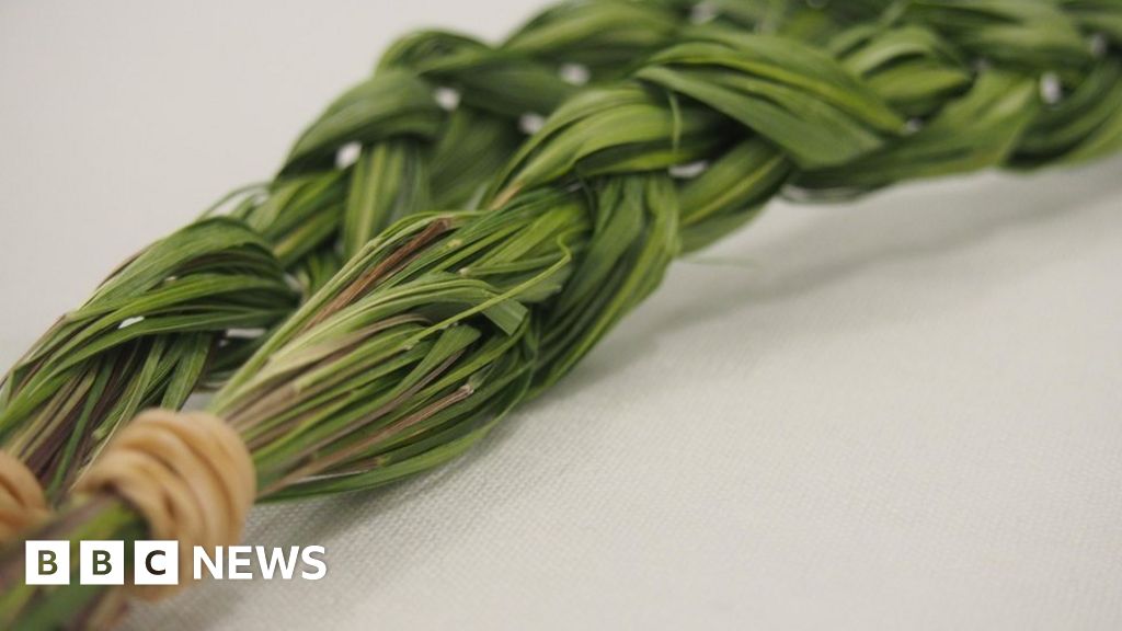 Science Discovers Sweetgrass is Natural Mosquito Repellant
