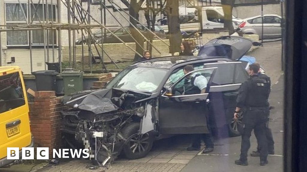 Streatham stabbings: Terror response PC cleared of dangerous driving - BBC