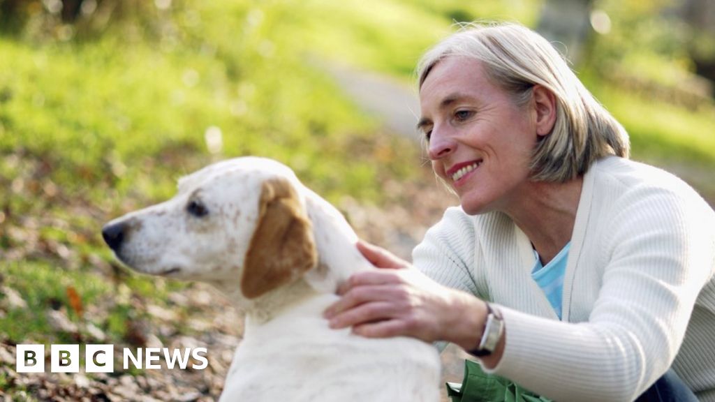 Family Tree Of Dogs Reveals Secret History Of Canines Bbc News