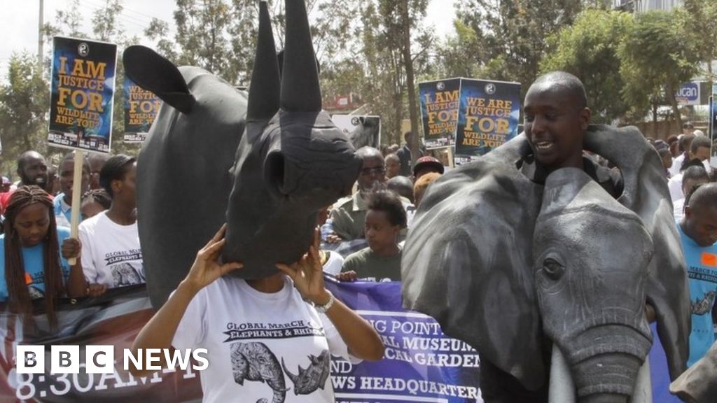 Africa in pictures 28 October 2015 BBC News