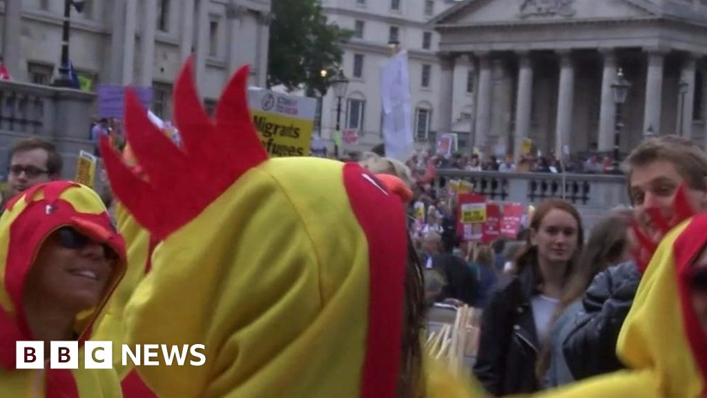 Chickens Protest Against Donald Trumps Visit Bbc News