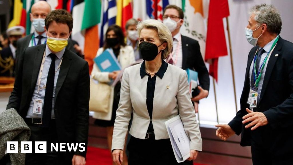 Ukraine crisis: Tough and emotional summit as EU leaders seek unity – BBC News