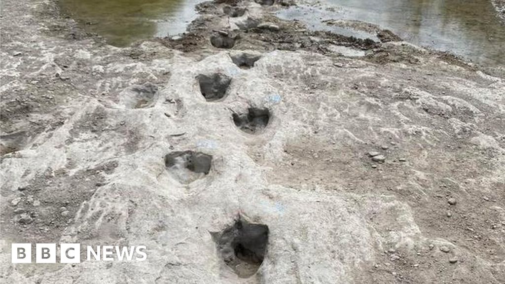 Dinosaur tracks from 113m years ago exposed by severe drought
