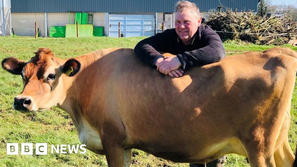 Southern Water shortage Winchester dairy herd without water for 18