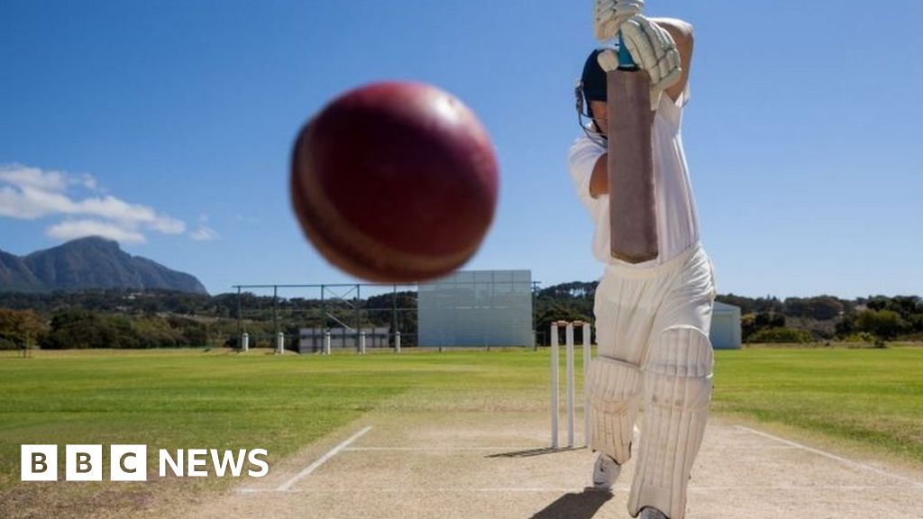 Batsman 'headbutted' bowler after he gets him out during cricket match