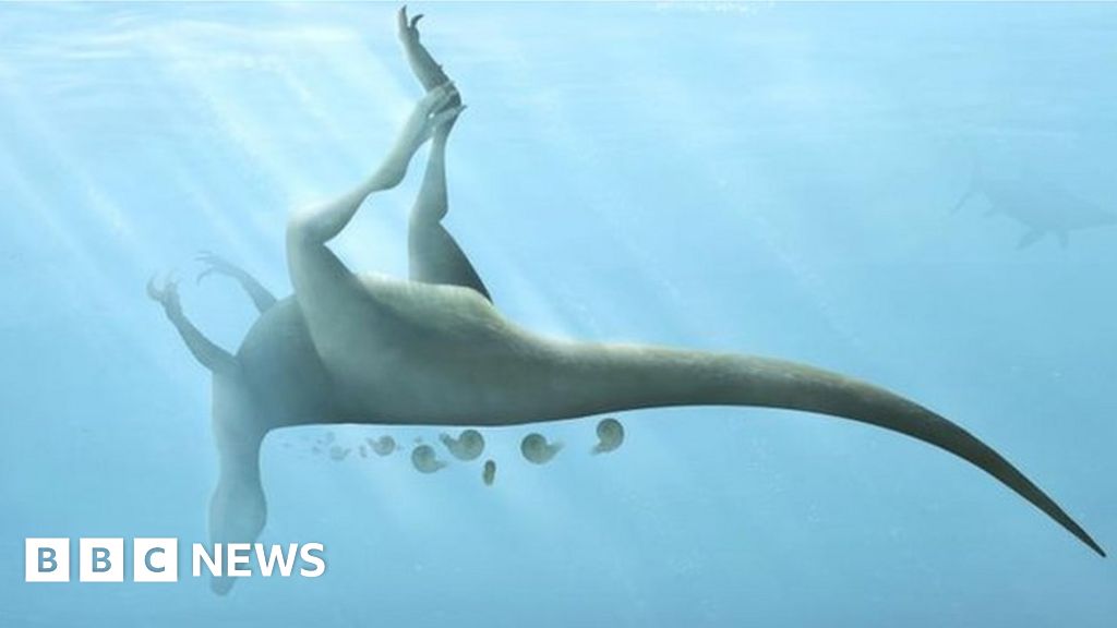 New dinosaur related to T. rex discovered on Isle of Wight - BBC News