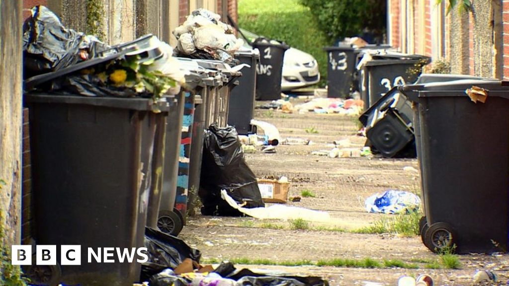South Belfast flytipping is 'breeding ground for vermin'
