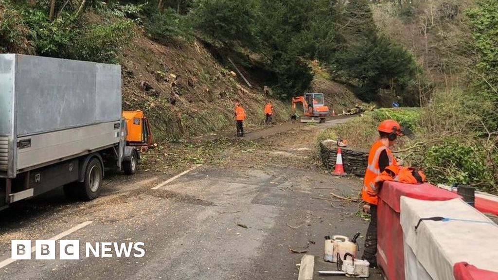 Emergency road closed for felling of diseased trees at Glen Helen