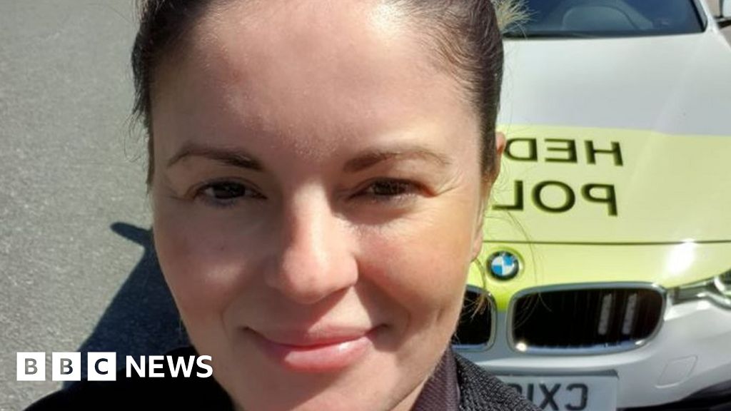 North Wales Police officer crashed car taking dog to vet - BBC News