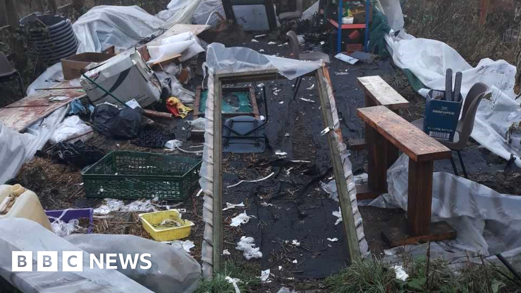 Little Woolden Moss: Salford nature reserve damage 'heartbreaking ...