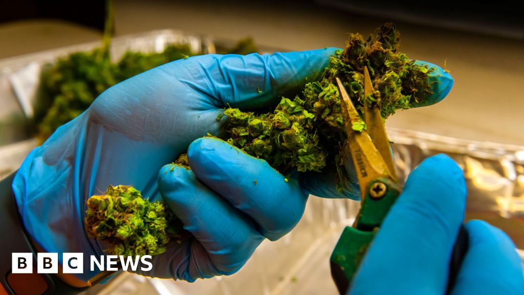 The B&B Where Cannabis Is Part Of Your Stay - BBC News