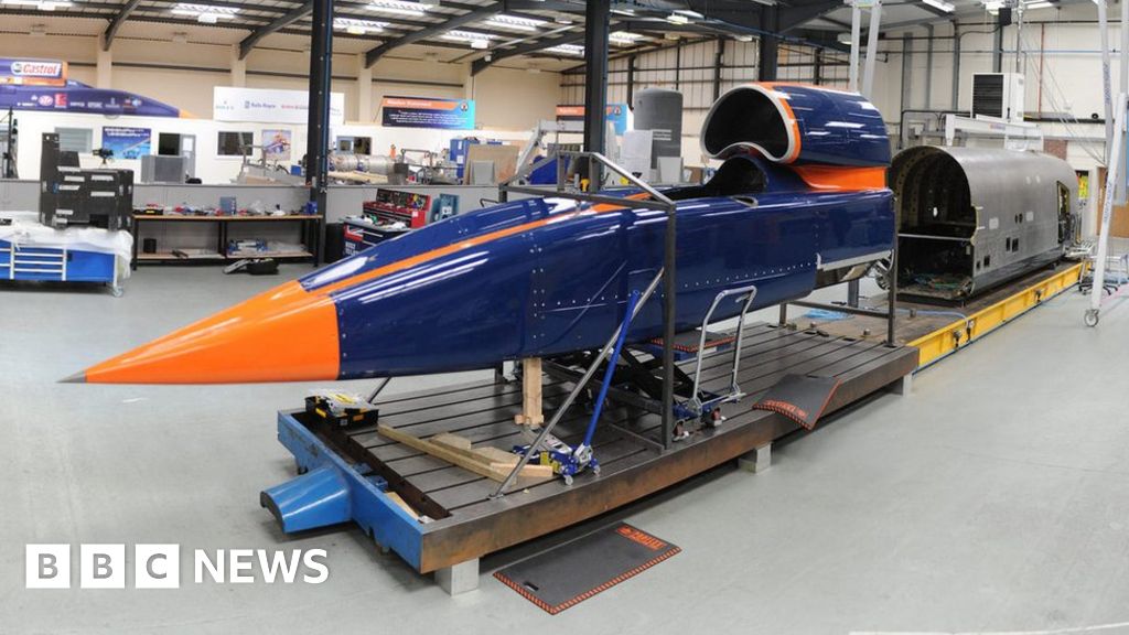 Bloodhound Diary: A riveting 'tail' - BBC News