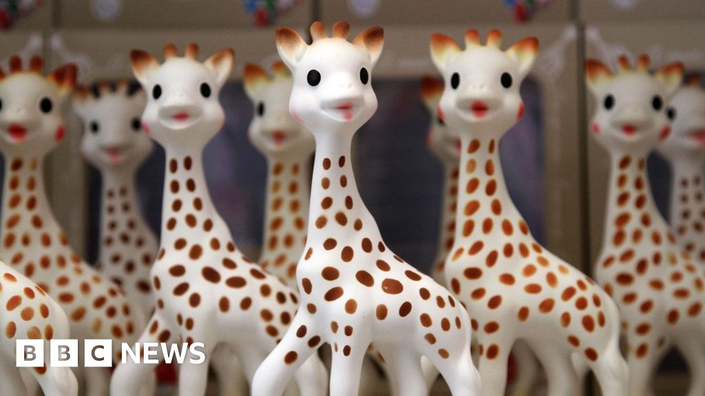 Sophie the Giraffe: How safe is it? - BBC News