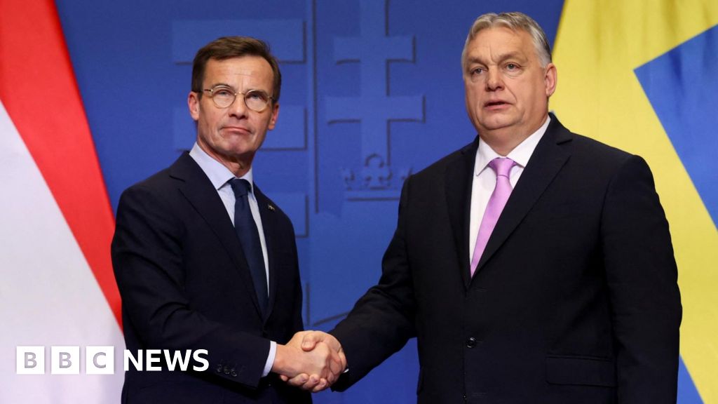 El parlamento húngaro ha despejado el camino de Suecia hacia la membresía de la OTAN
