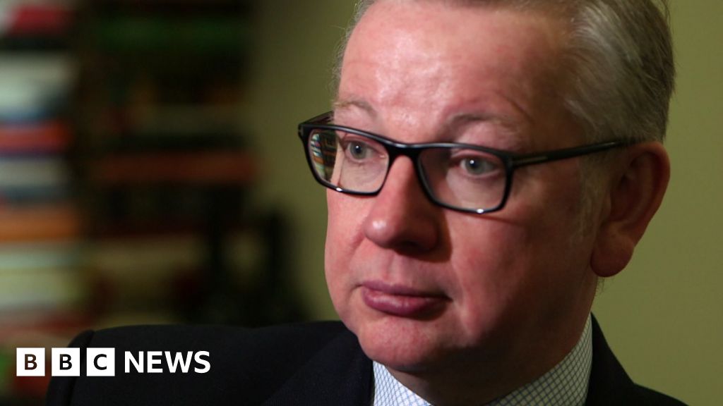 Michael Gove Clarifies Stance On Experts Bbc News 3546