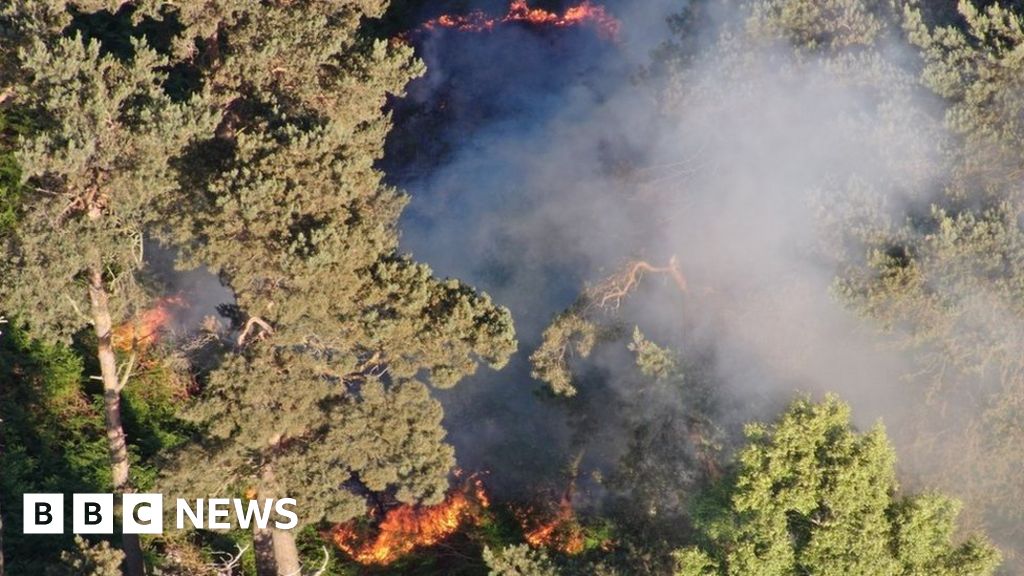 Prestwick Carr fire: Concerns about wildlife damage