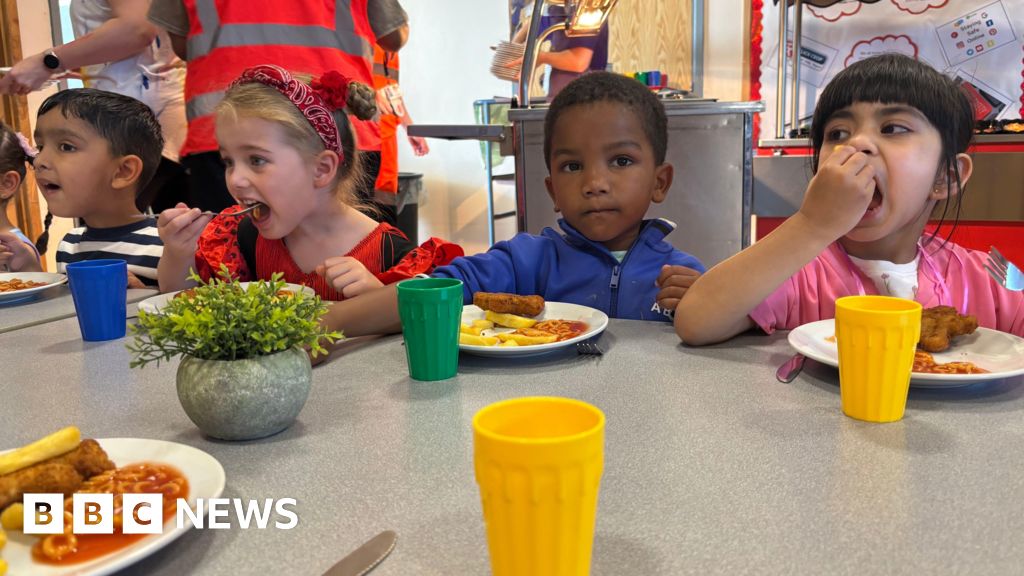 School meal costs mean less meat and smaller portions, caterers say