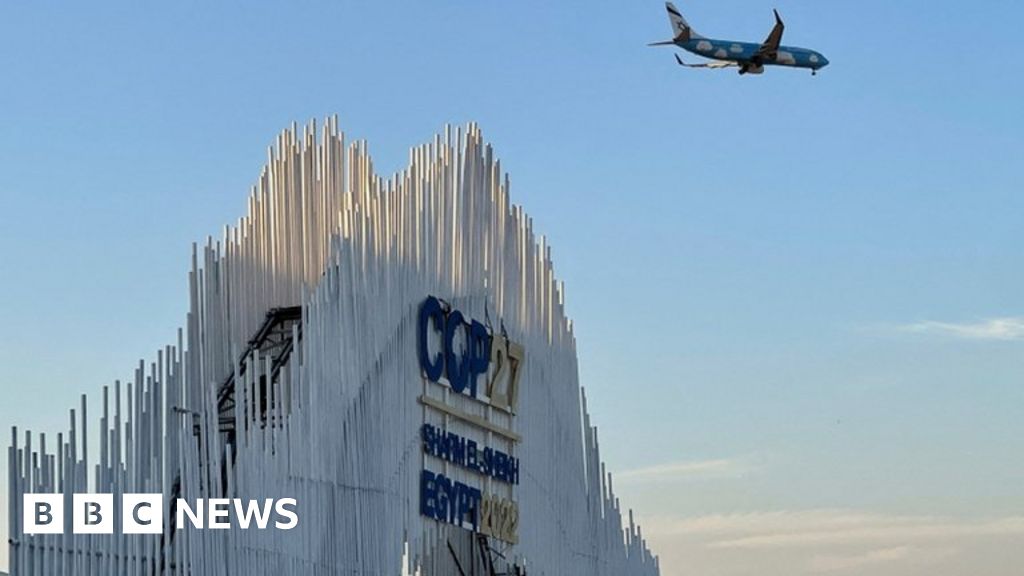 COP27: Ukraine a reason to act fast on climate change - Rishi Sunak