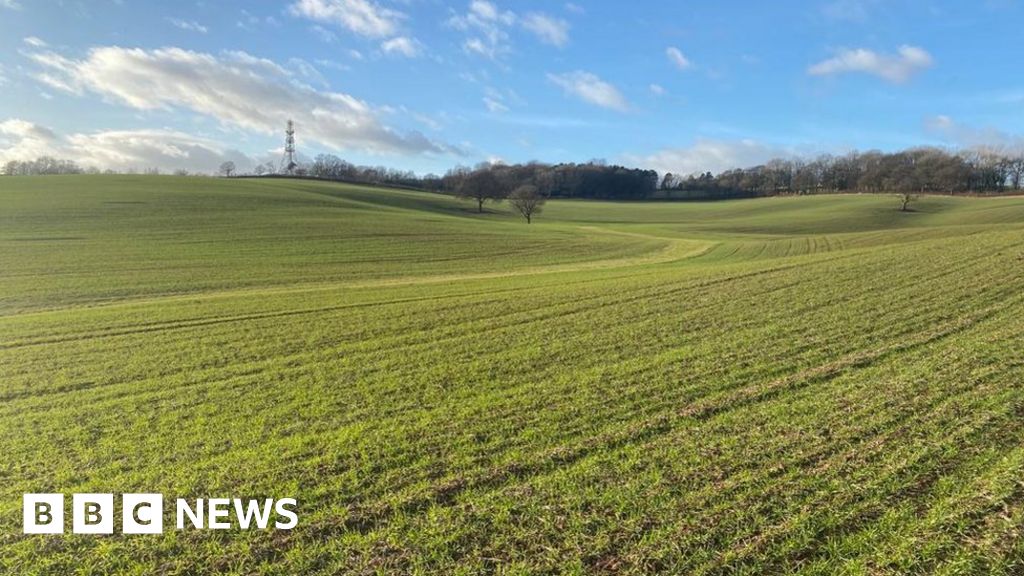 Fertilisers: UK to reward green farming practices as costs surge