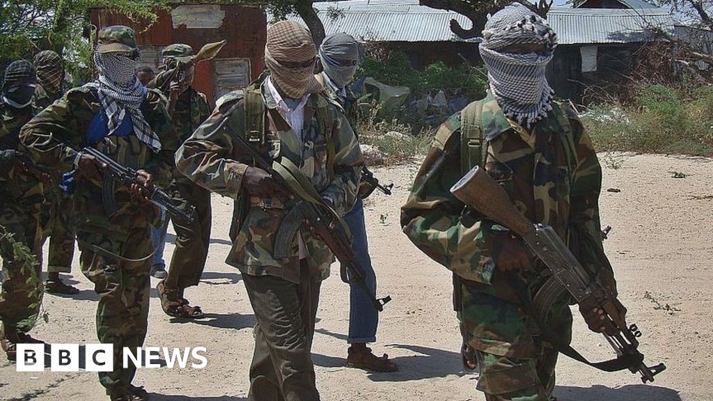 Al-Shabab: US air strike in Somalia ‘kills 30 militants’