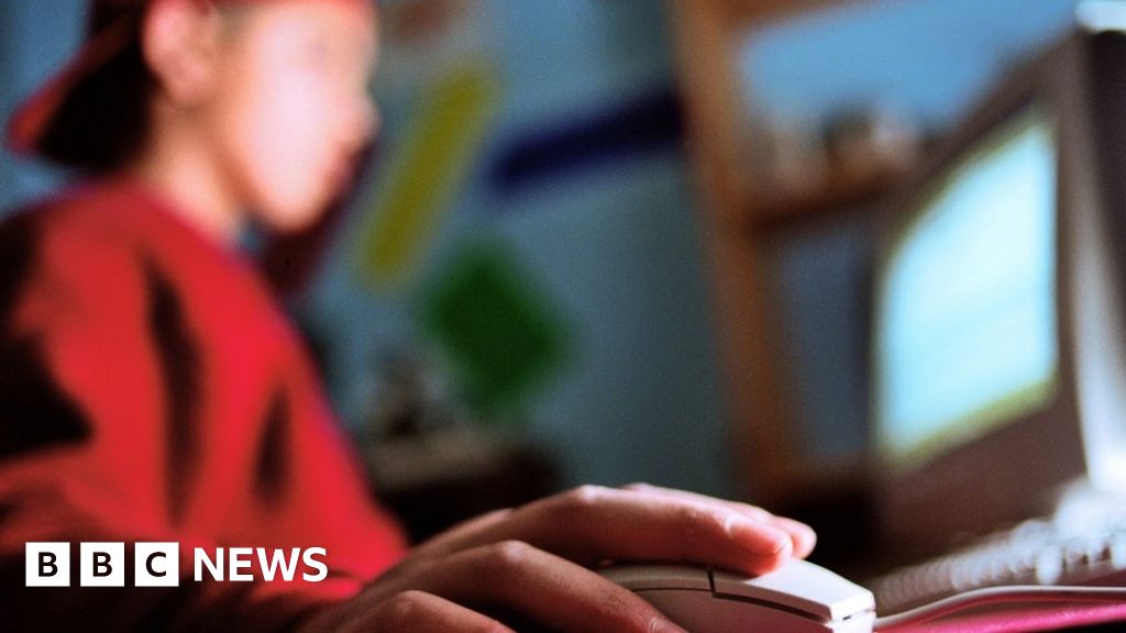 Porn age-checks risk pushing children to dark web, officials warn - BBC