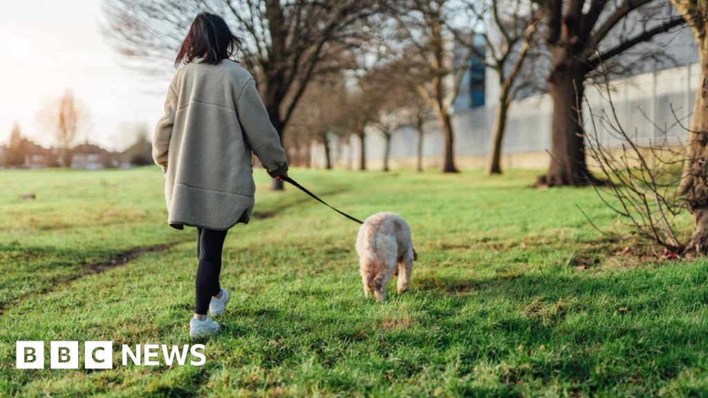 Worcester farm expanding to dog walkers to remain viable BBC News