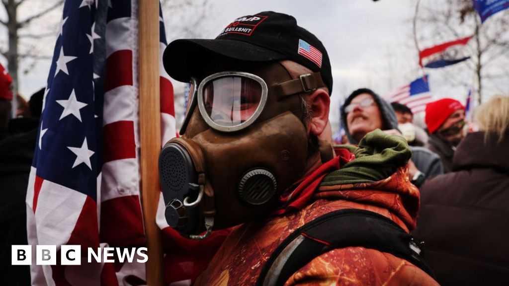 Capitol riots: Questions mount over security failure photograph