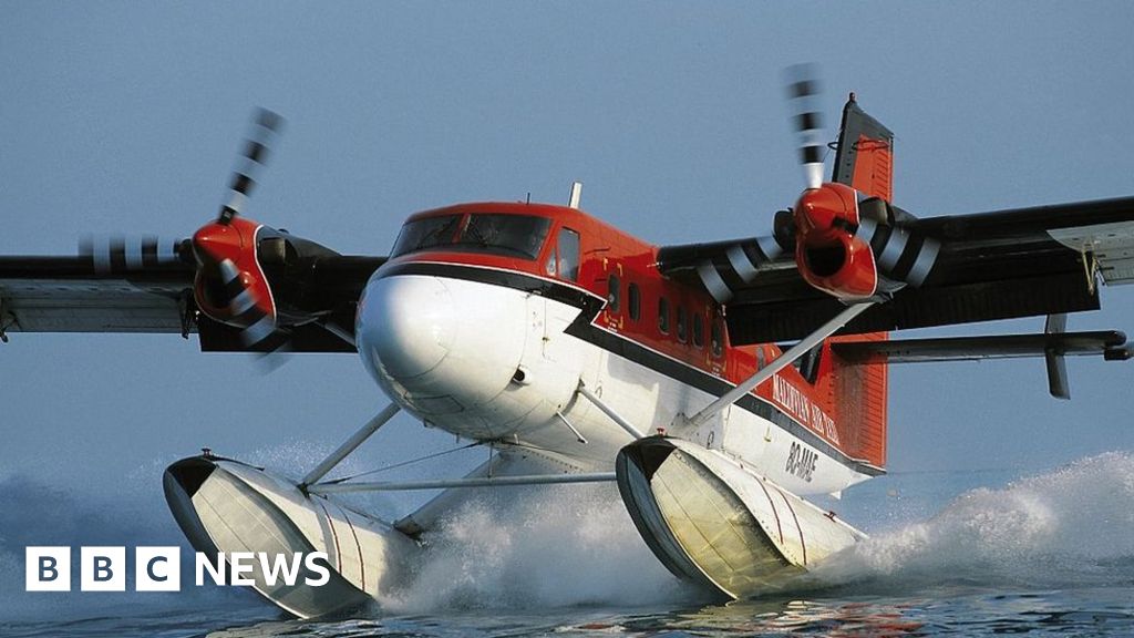 SpiceJet: Indian airline turns to seaplanes to boost travel