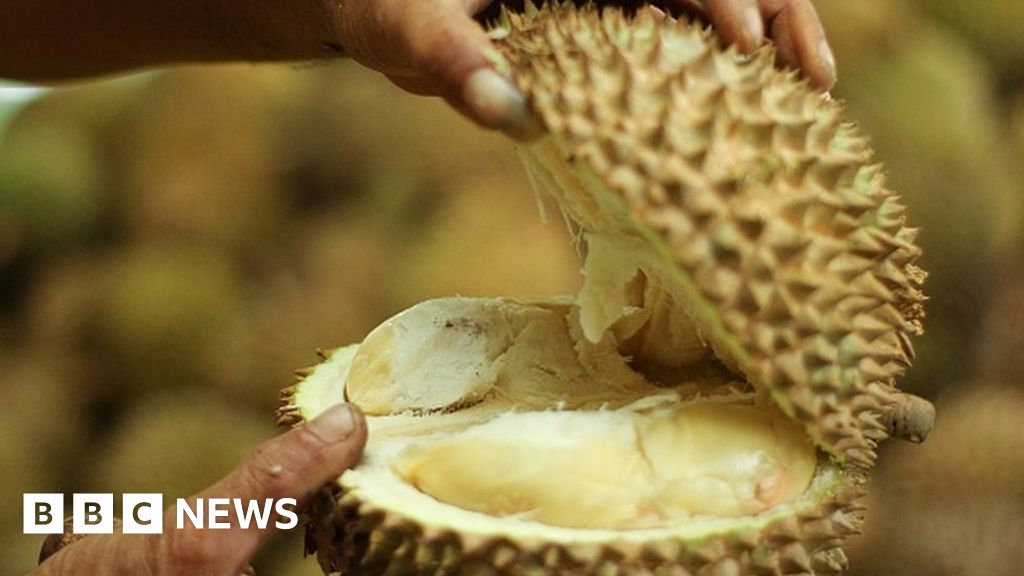 Can eat durian after covid vaccine
