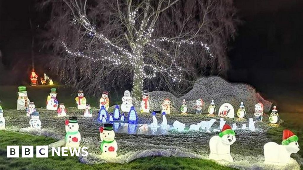 Shining a light on the Christmas decoration superfans