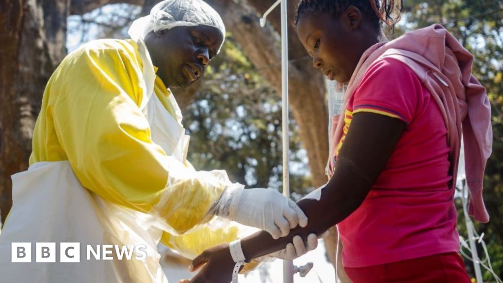 Zimbabwe anger at cholera donations plan