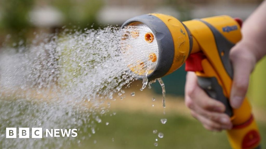 UK heatwave: Hosepipe ban in Cornwall first in 26 years