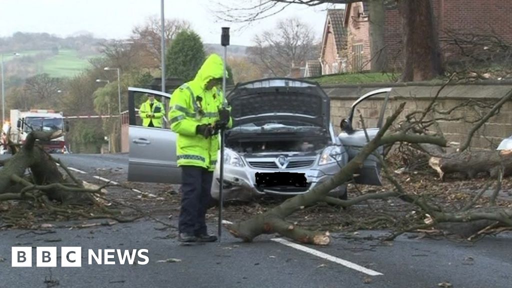 Woman Impaled By Fallen Tree Pleaded For Her Life