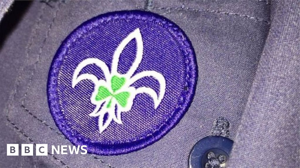 Scouting Ireland review finds child abuse cover up