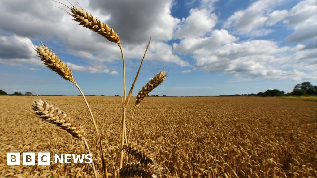 Countryside improvements fund 'could be raided'